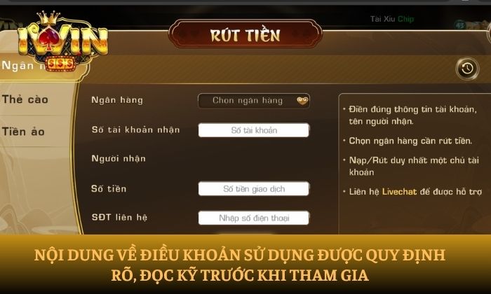Điều khoản sử dụng